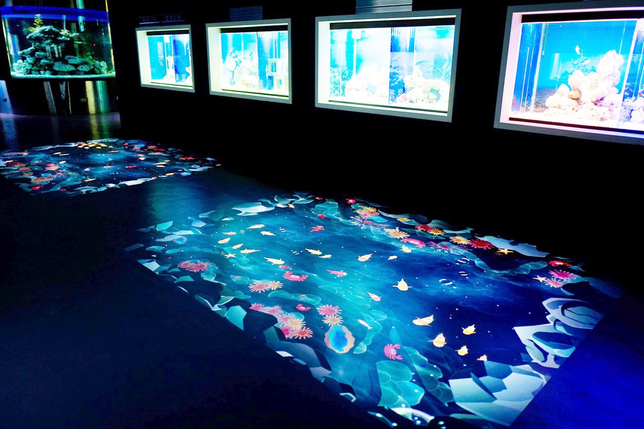 4.海洋夢想館